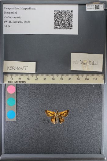 Media type: image;   Entomology 206232